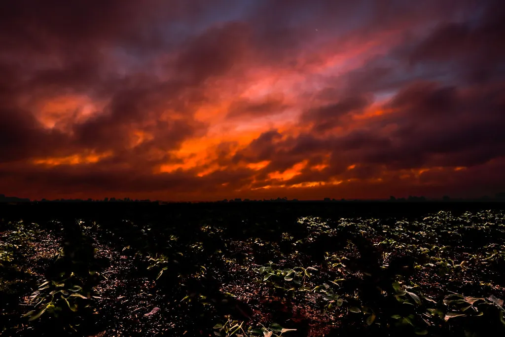 Red sunset above a field